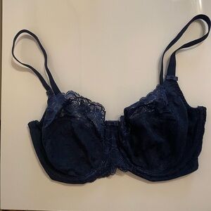 Panache Midnight Lace Bra